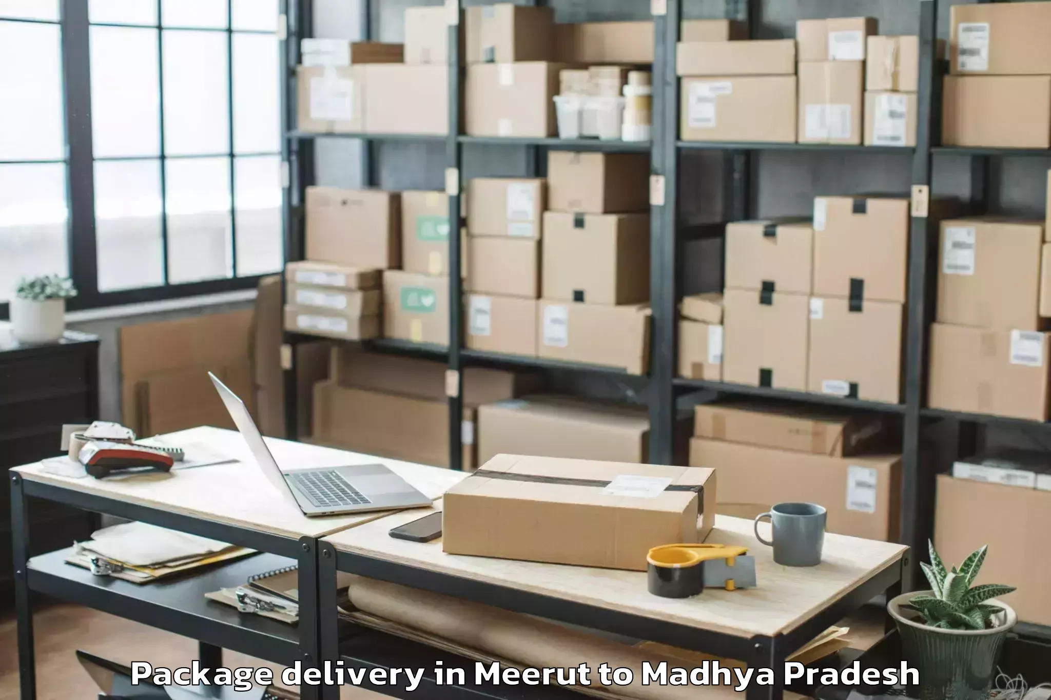 Book Meerut to Manpur Package Delivery